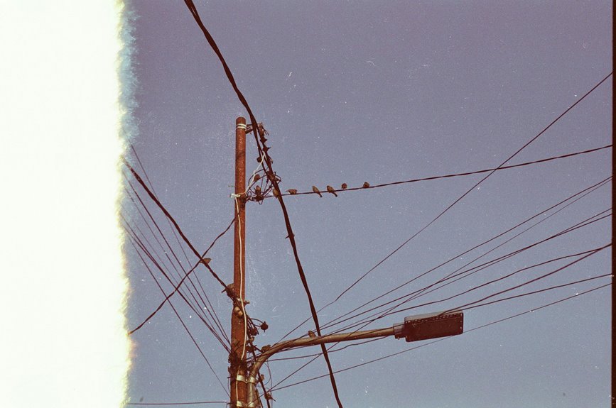 support line business inquiries