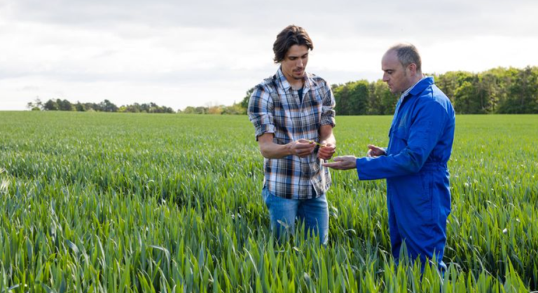 How Biotech Is Transforming Medicine and Agriculture